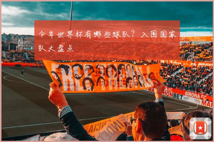 今年世界杯有哪些球队？入围国家队大盘点
