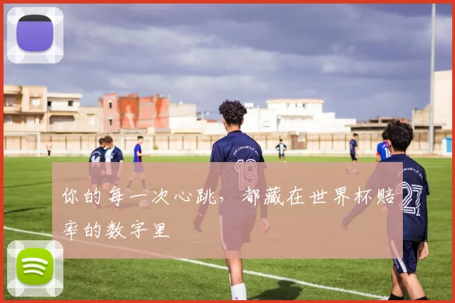 你的每一次心跳,都藏在世界杯赔率的数字里