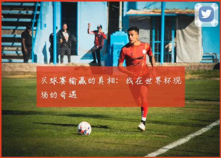 买球赛输赢的真相:我在世界杯现场的奇遇
