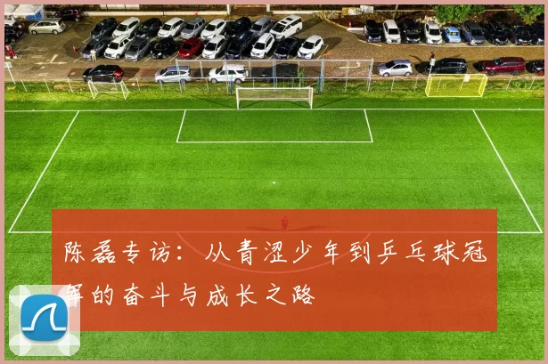 陈磊专访:从青涩少年到乒乓球冠军的奋斗与成长之路