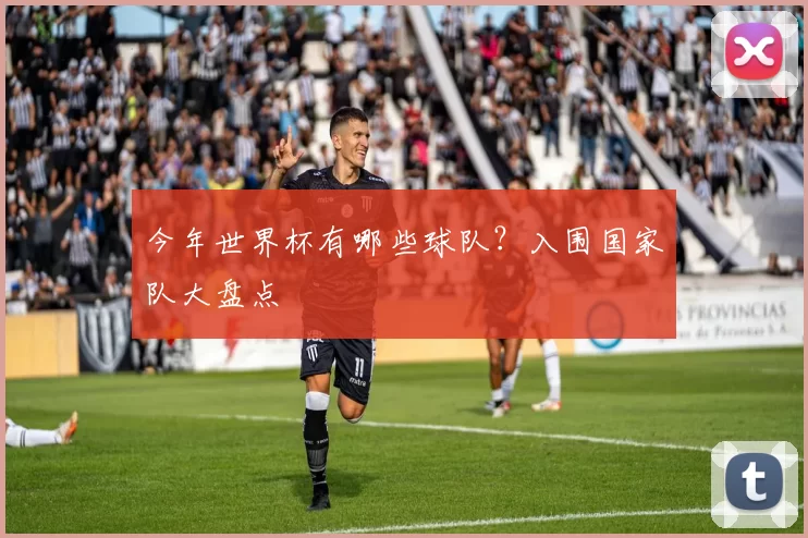 今年世界杯有哪些球队？入围国家队大盘点