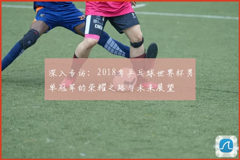 深入专访：2018年乒乓球世界杯男单冠军的荣耀之路与未来展望