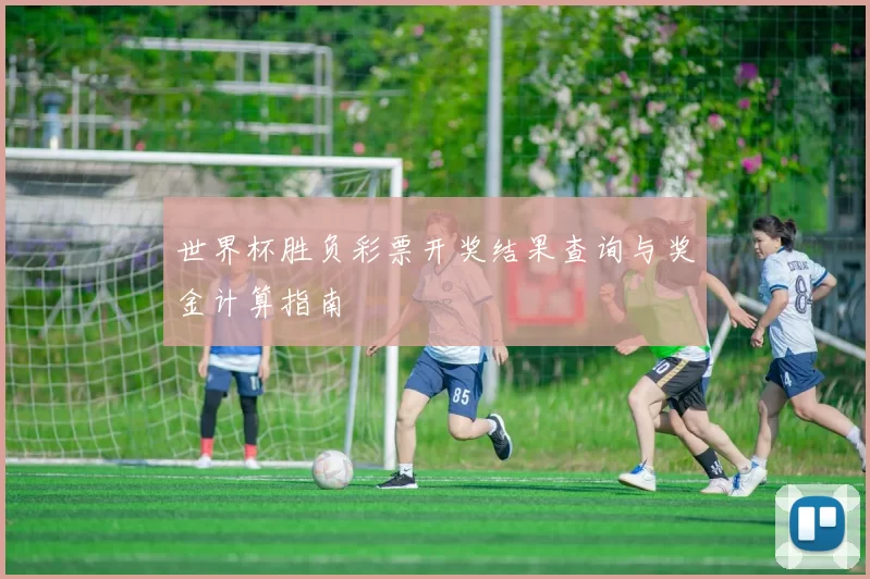 世界杯胜负彩票开奖结果查询与奖金计算指南