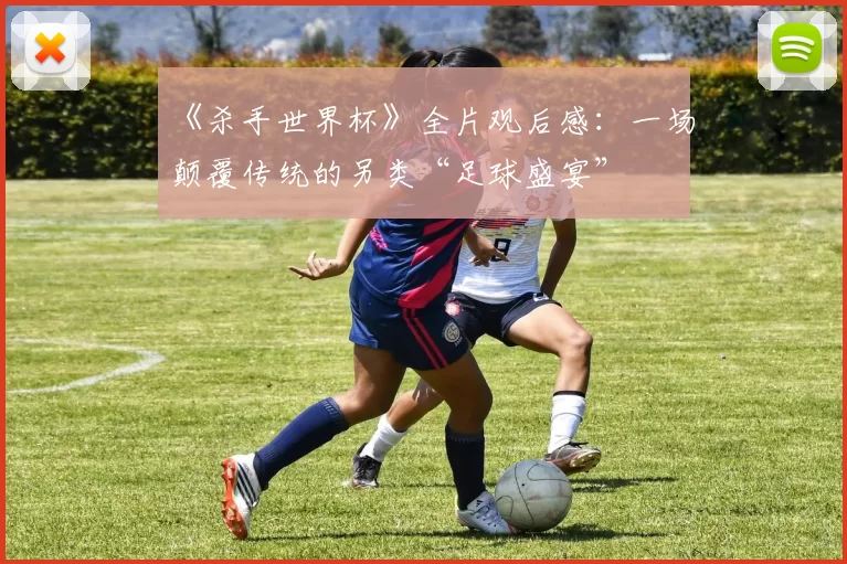 《杀手世界杯》全片观后感:一场颠覆传统的另类“足球盛宴”