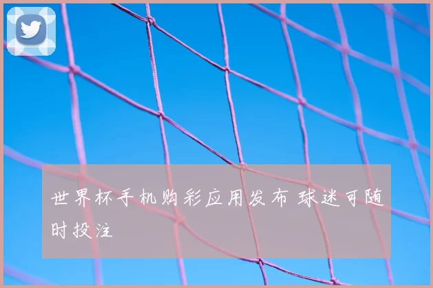 世界杯手机购彩应用发布 球迷可随时投注