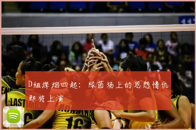 D组烽烟四起:绿茵场上的恩怨情仇即将上演