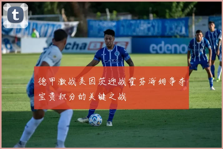 德甲激战美因茨迎战霍芬海姆争夺宝贵积分的关键之战