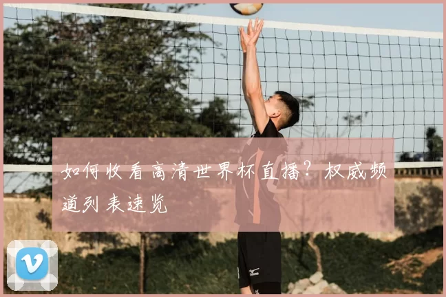 如何收看高清世界杯直播?权威频道列表速览