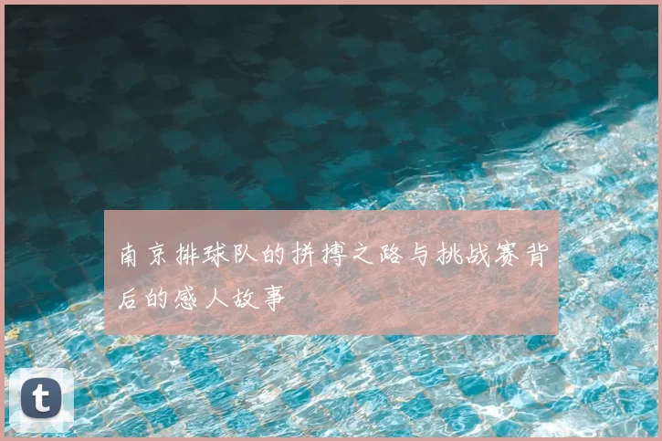 南京排球队的拼搏之路与挑战赛背后的感人故事