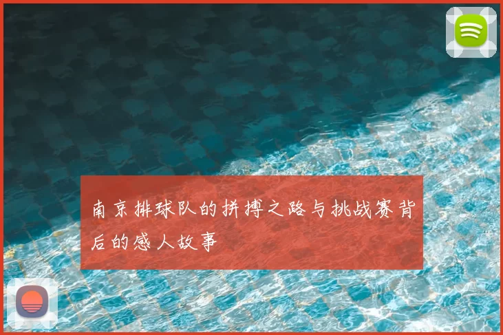 南京排球队的拼搏之路与挑战赛背后的感人故事