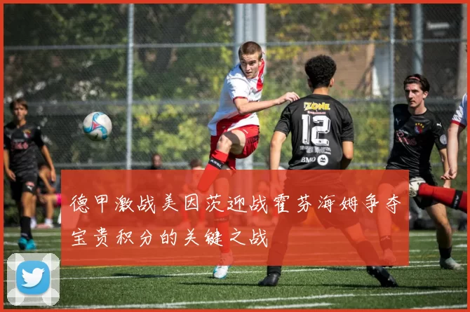 德甲激战美因茨迎战霍芬海姆争夺宝贵积分的关键之战