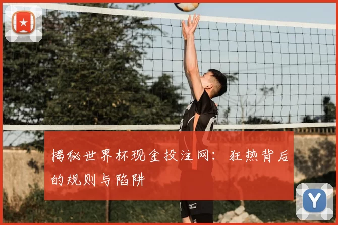 揭秘世界杯现金投注网:狂热背后的规则与陷阱